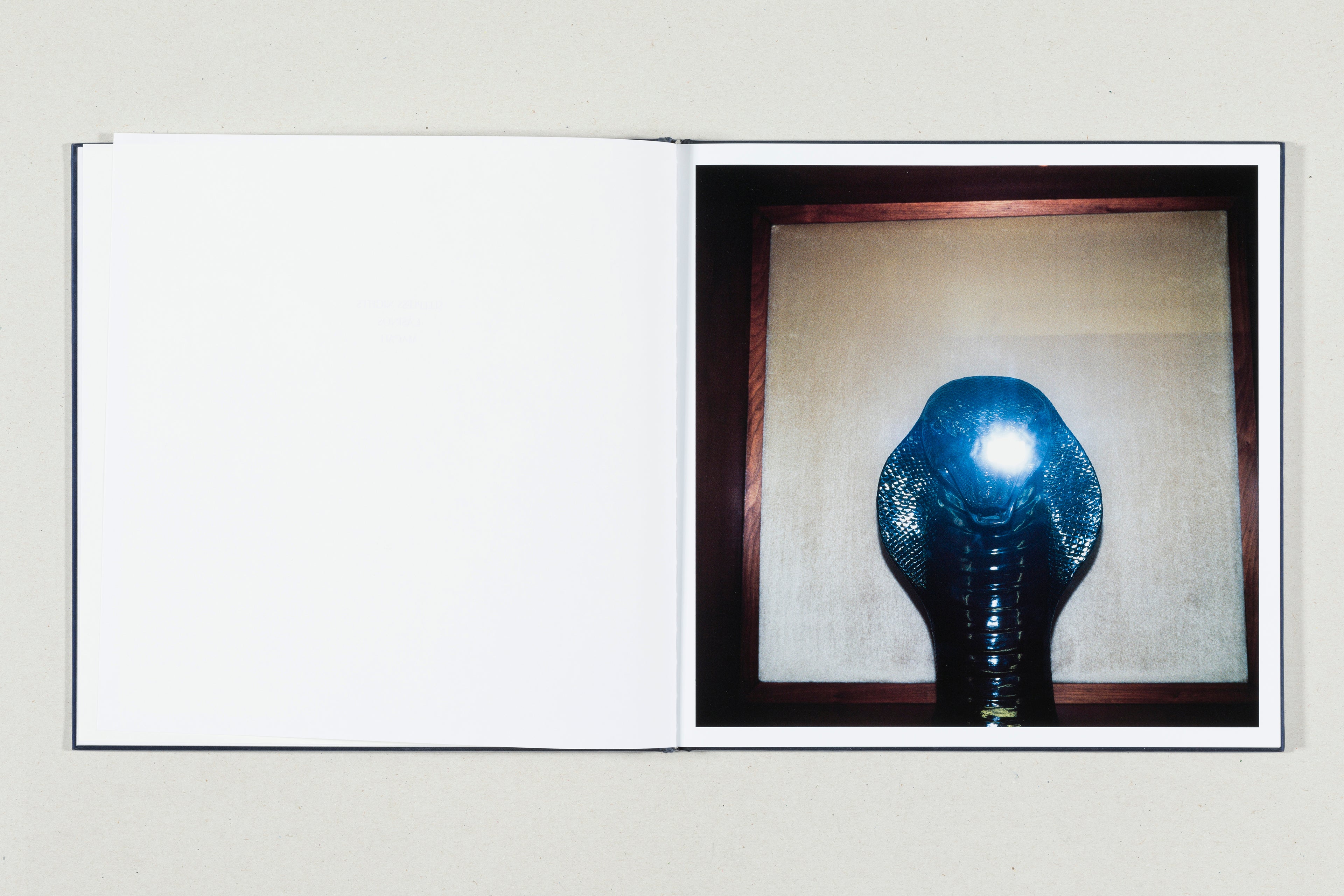 WHITE NOISE<br>António Júlio Duarte