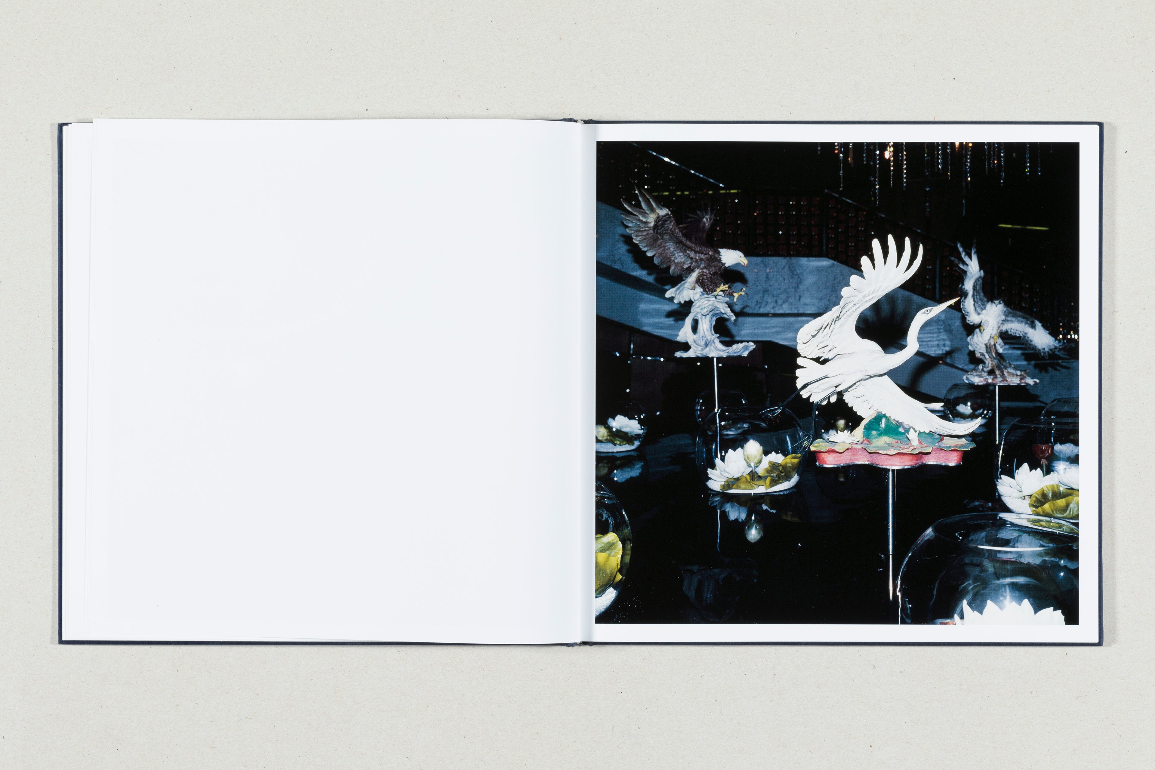 WHITE NOISE<br>António Júlio Duarte