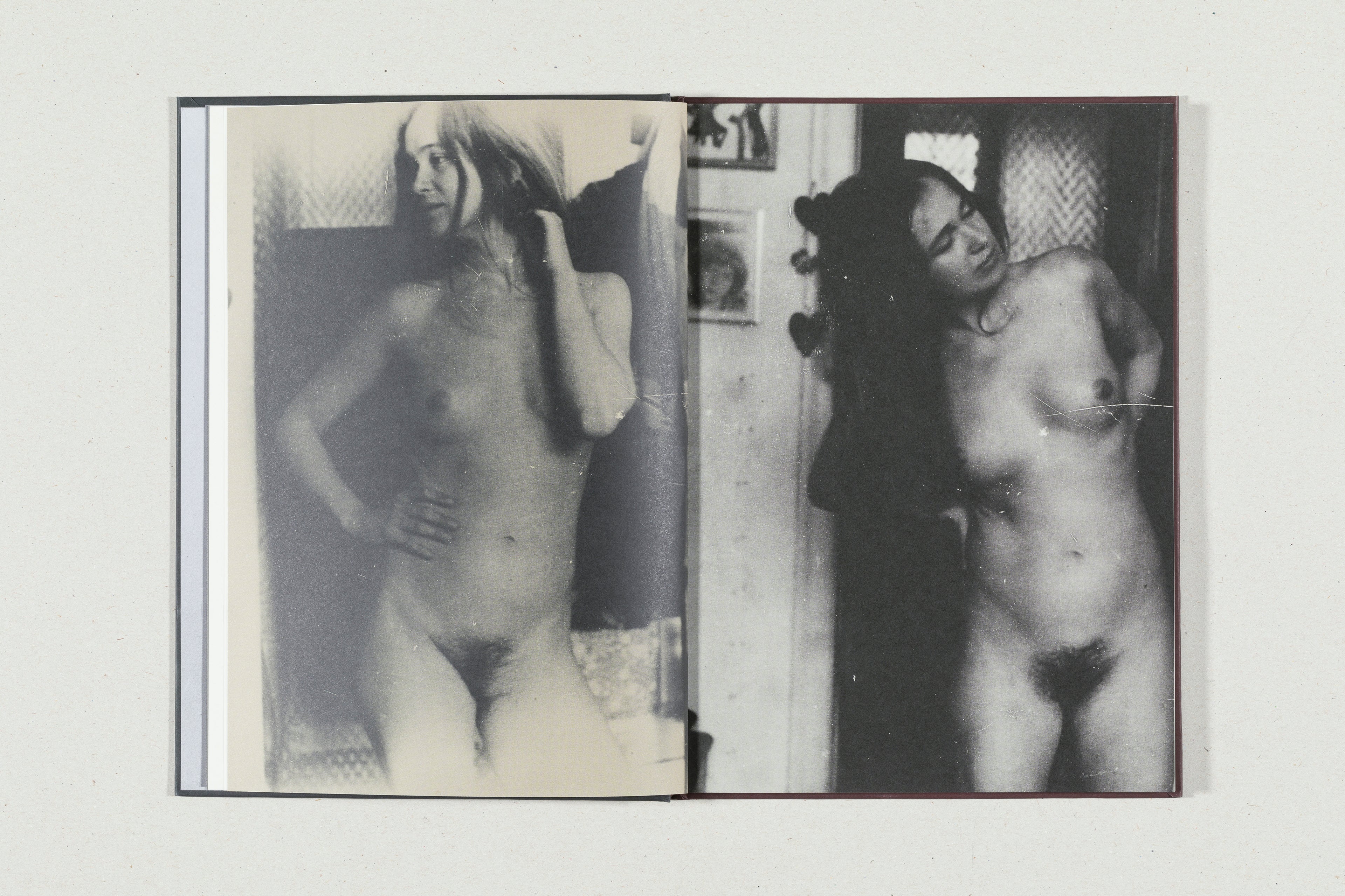 HOLLINGSHAUSEN<br>Anne Lefebvre