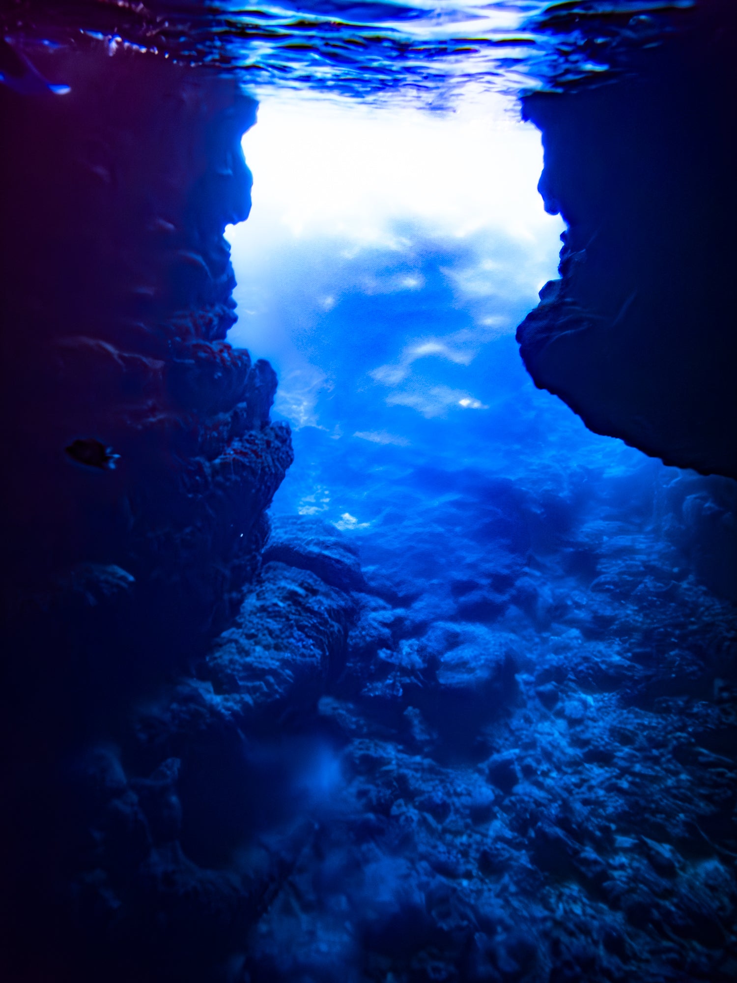 I WILL TELL YOU A TALE OF THE BOTTOMLESS BLUE<br>Keiko Nomura<br>(Pre-order)
