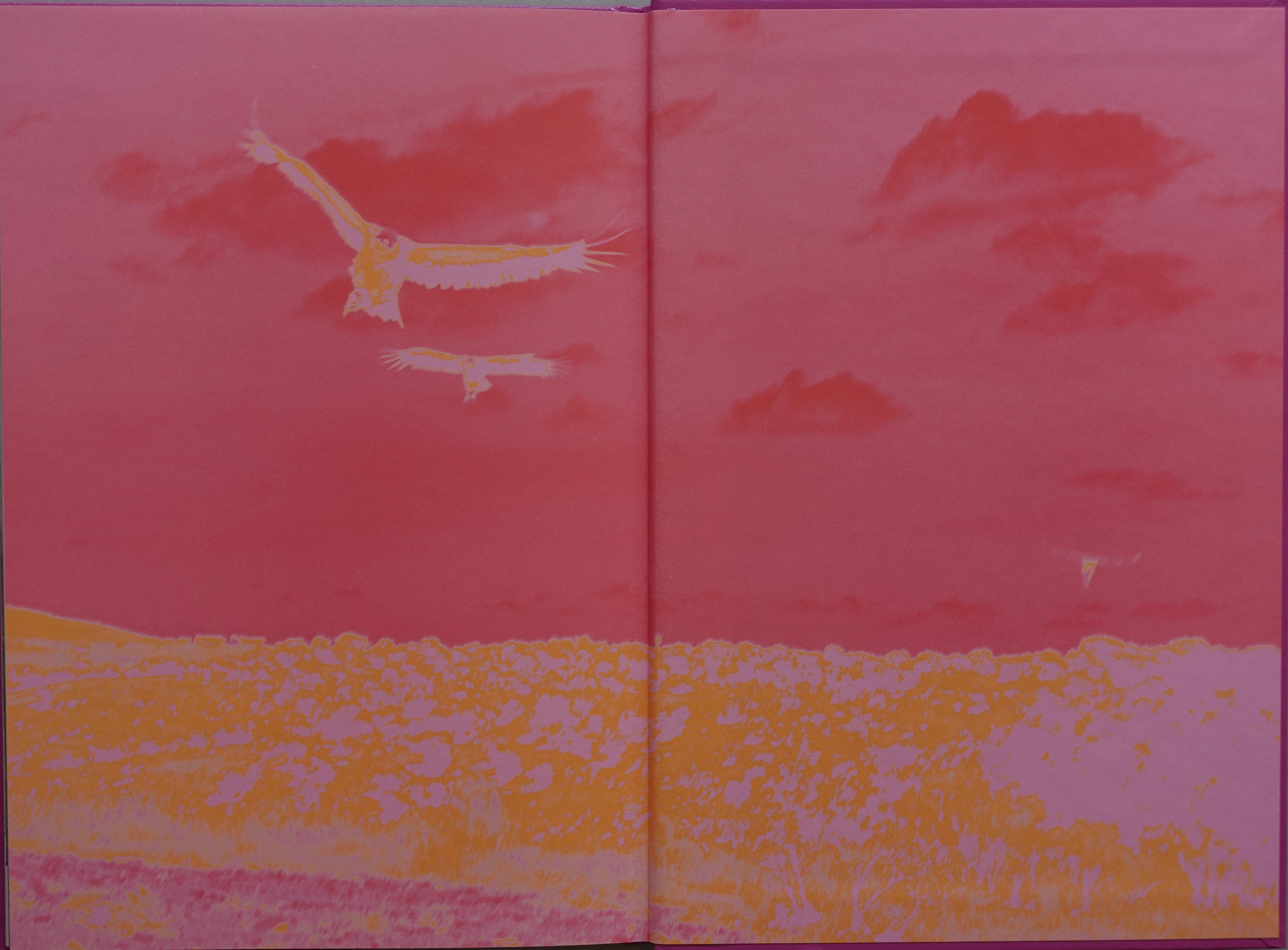 ANIMA - ENCOUNTERS WITH WILD ANIMALS IN PORTUGAL<br>André Príncipe