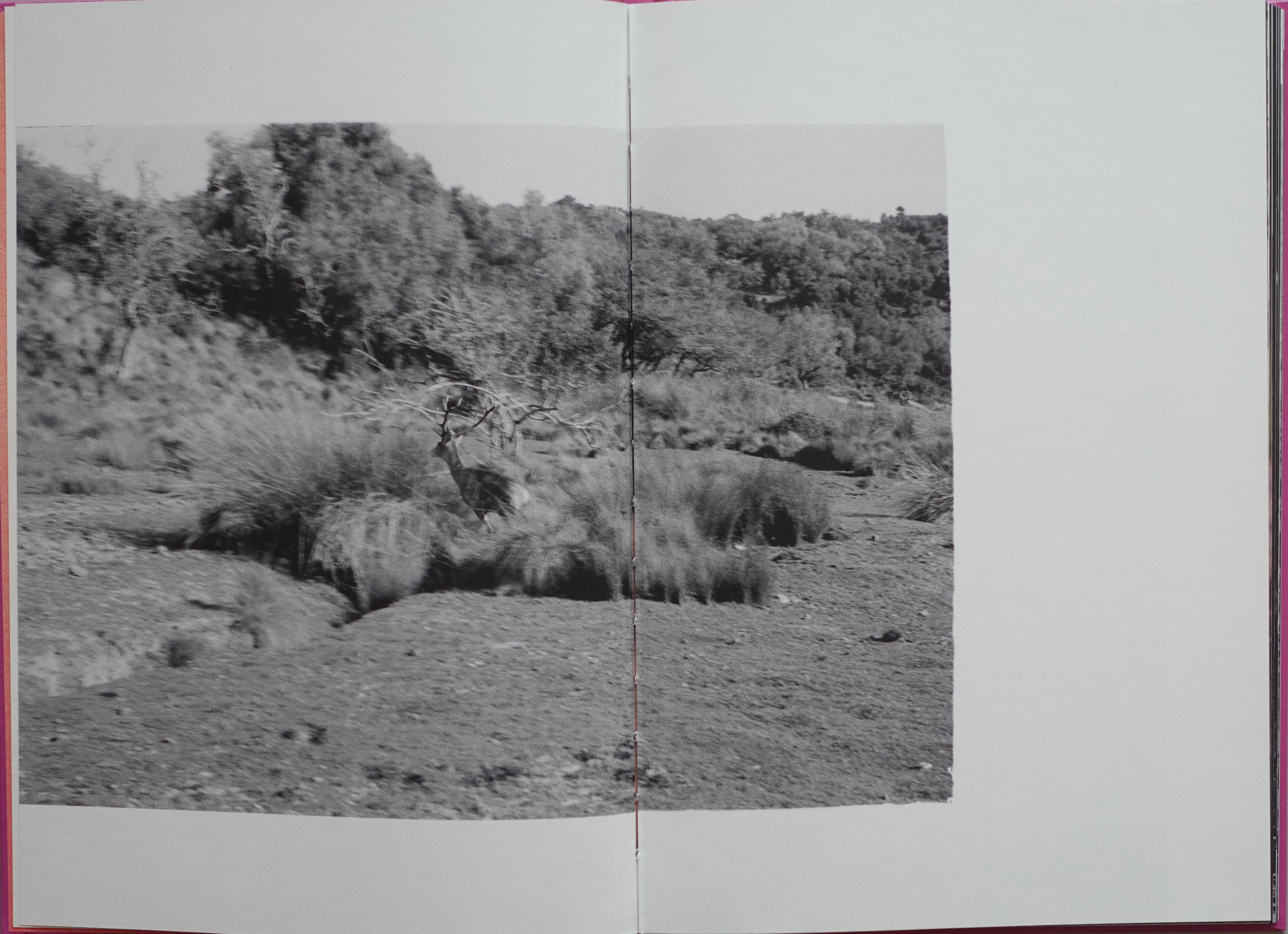 ANIMA - ENCOUNTERS WITH WILD ANIMALS IN PORTUGAL<br>André Príncipe