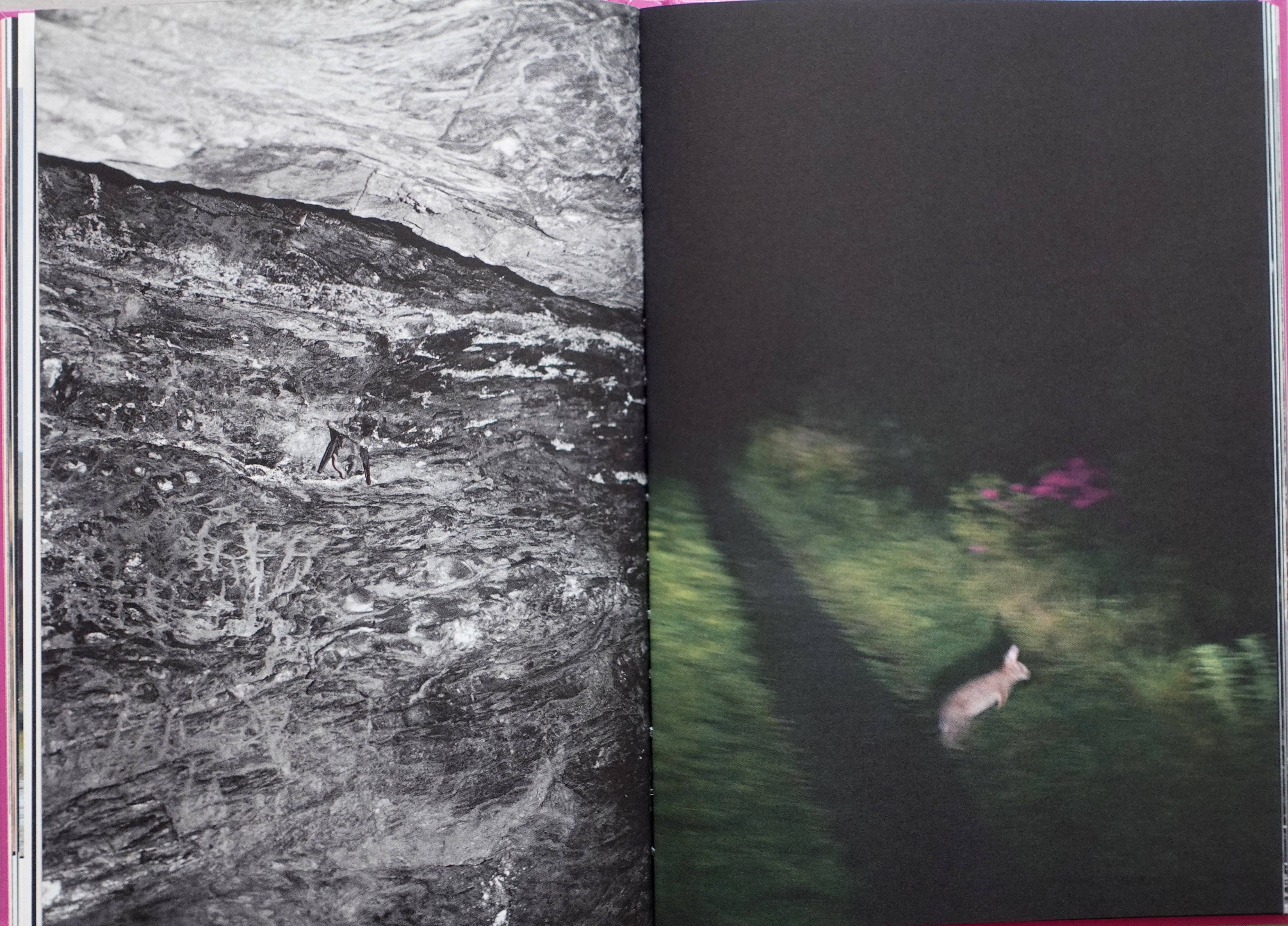 ANIMA - ENCOUNTERS WITH WILD ANIMALS IN PORTUGAL<br>André Príncipe