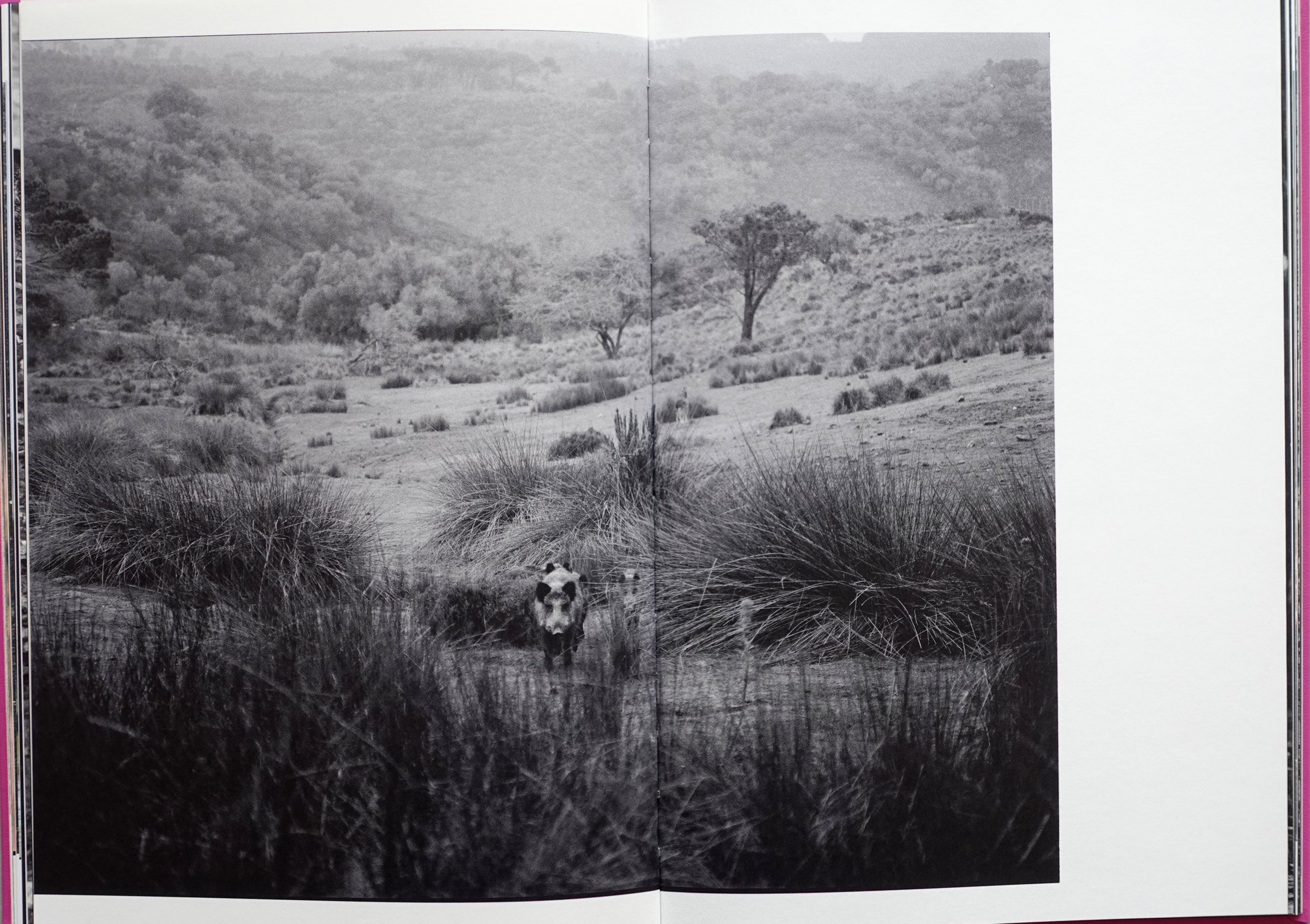 ANIMA - ENCOUNTERS WITH WILD ANIMALS IN PORTUGAL<br>André Príncipe