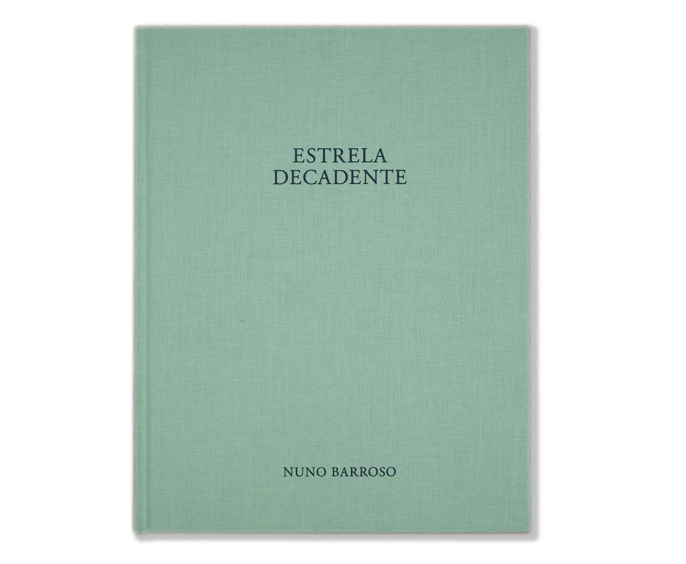 ESTRELA DECADENTE<br> Nuno Barroso<br>