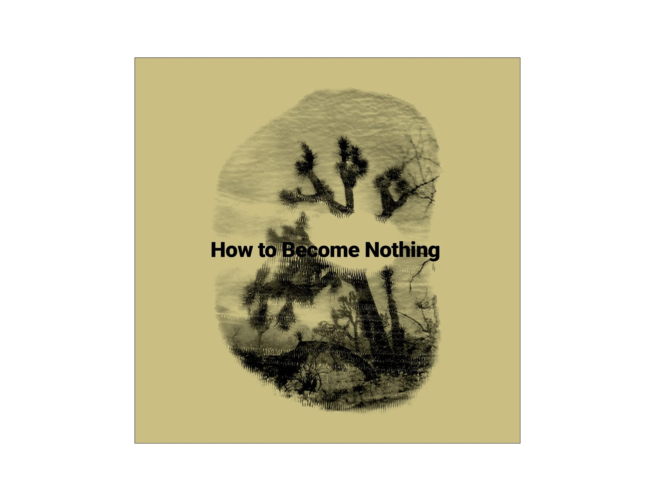 HOW TO BECOME NOTHING<br>The Legendary Tigerman and Rita Lino (12'' LP + Book)