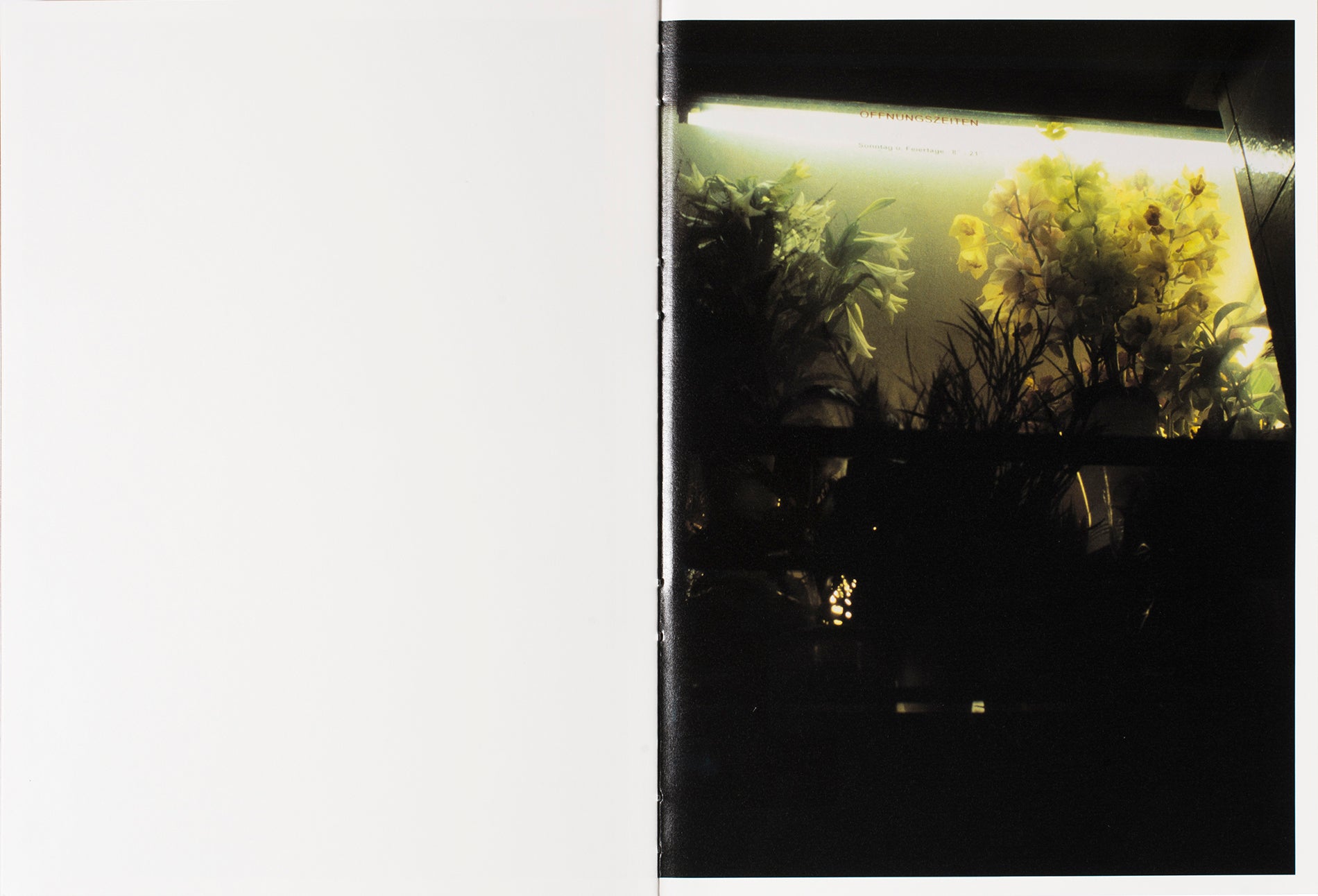 SILENCE<br>José Pedro Cortes
