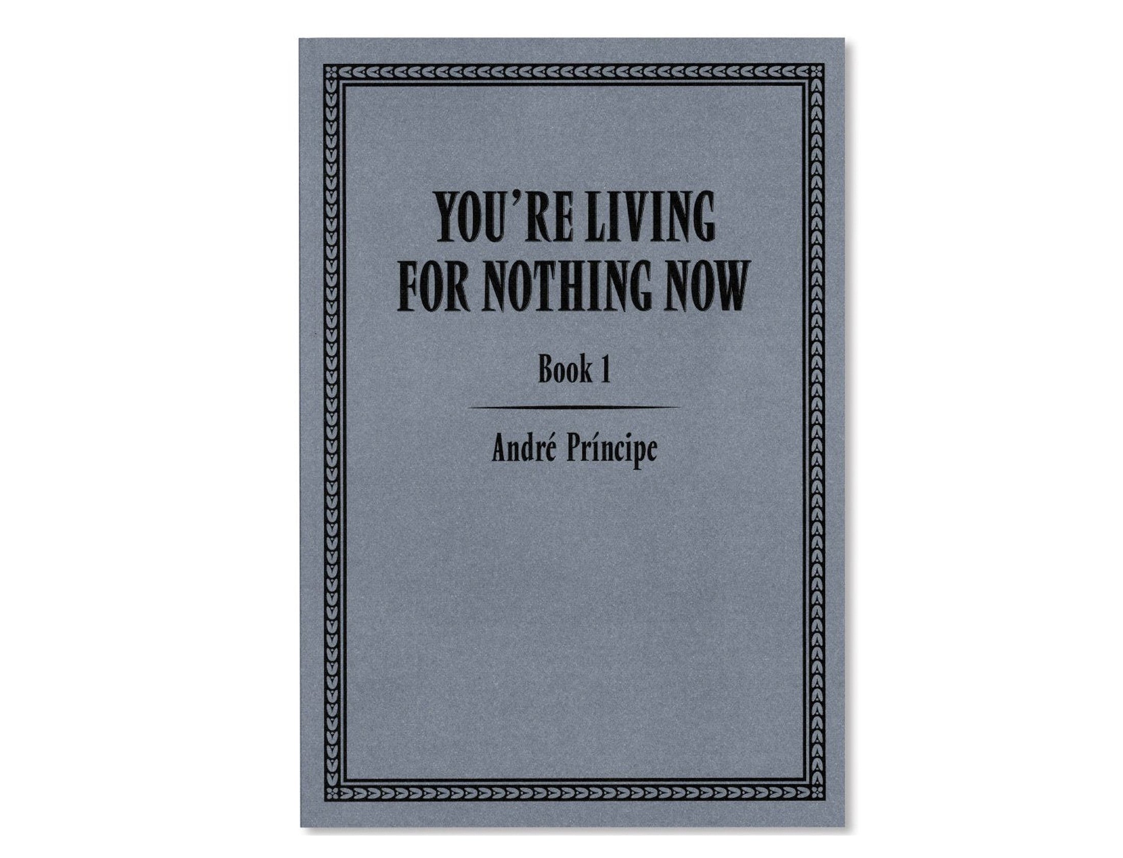 YOU'RE LIVING FOR NOTHING NOW (BOOK 1)<br>André Príncipe