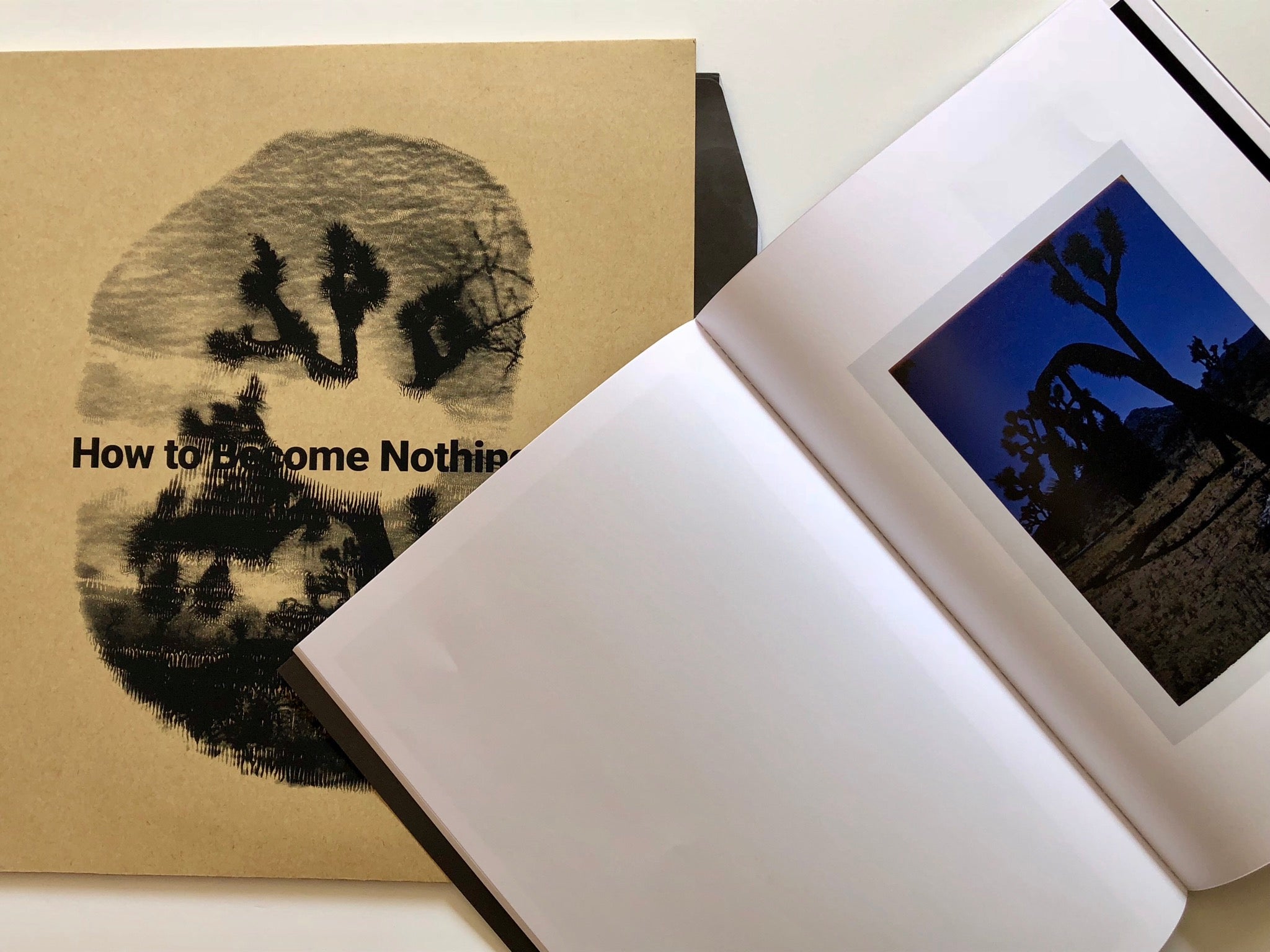 HOW TO BECOME NOTHING<br>The Legendary Tigerman and  Rita Lino (12'' LP + Book)