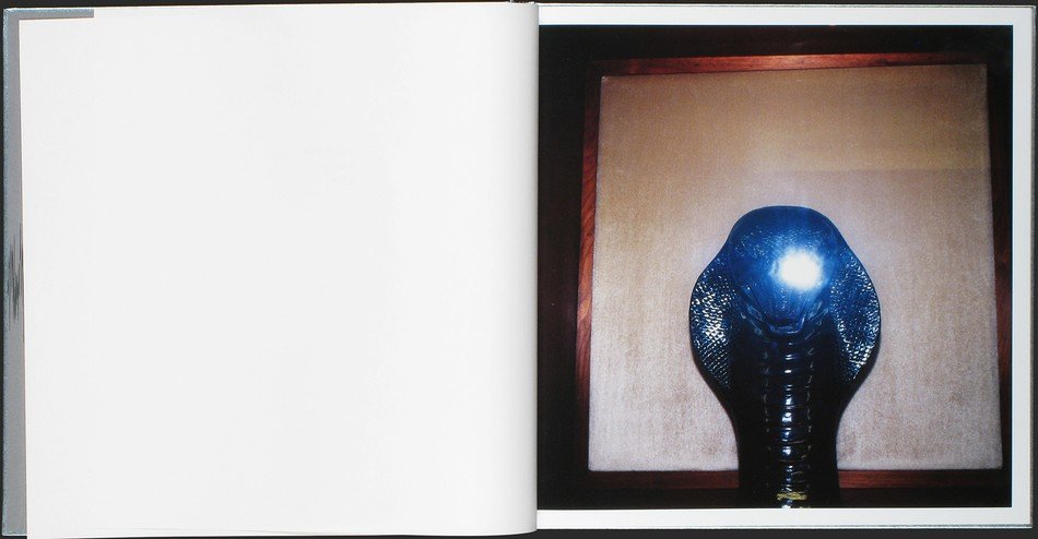 WHITE NOISE<br>António Júlio Duarte