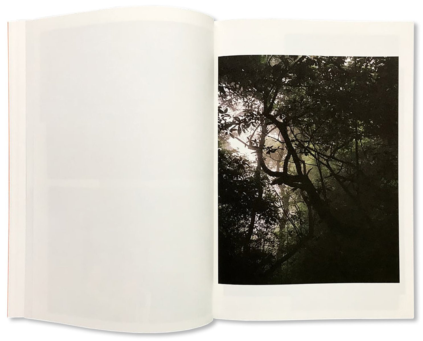 YOU'RE LIVING FOR NOTHING NOW (BOOK 3)<br>André Príncipe