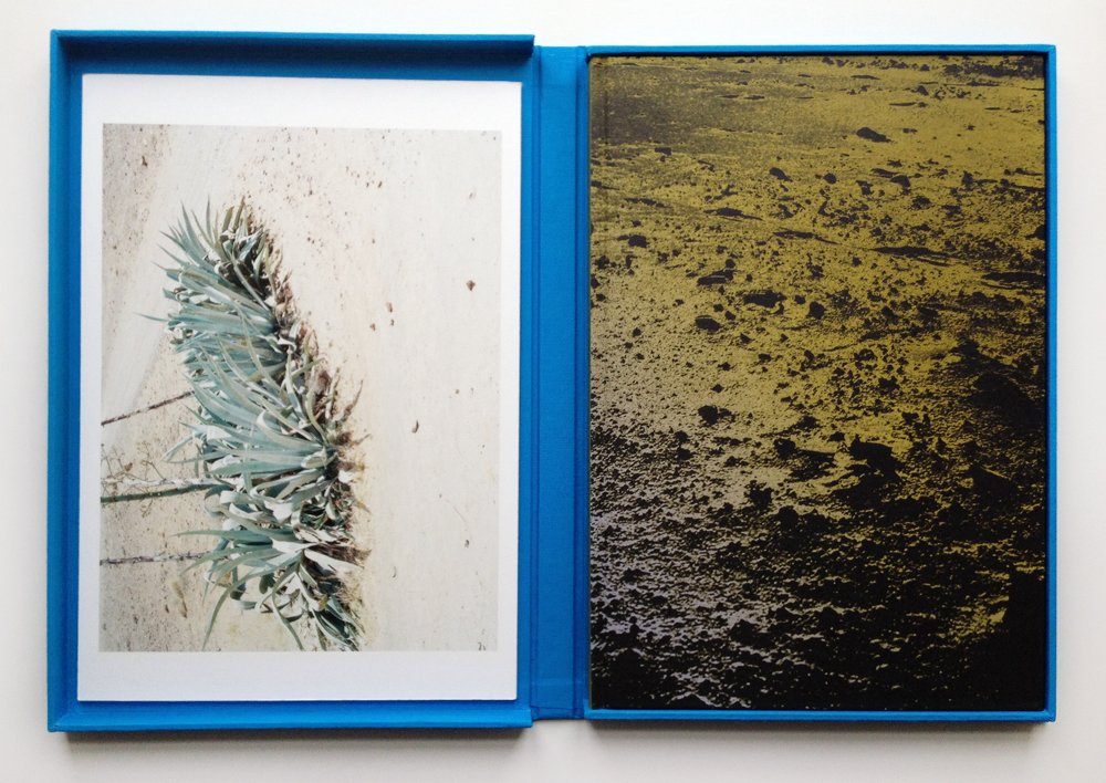 COSTA<br>José Pedro Cortes<br>SPECIAL EDITION BOX W/ 2 Prints