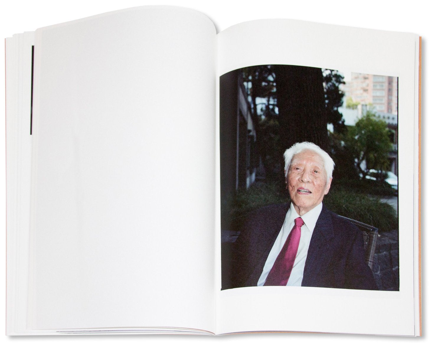 YOU'RE LIVING FOR NOTHING NOW (BOOK 3)<br>André Príncipe