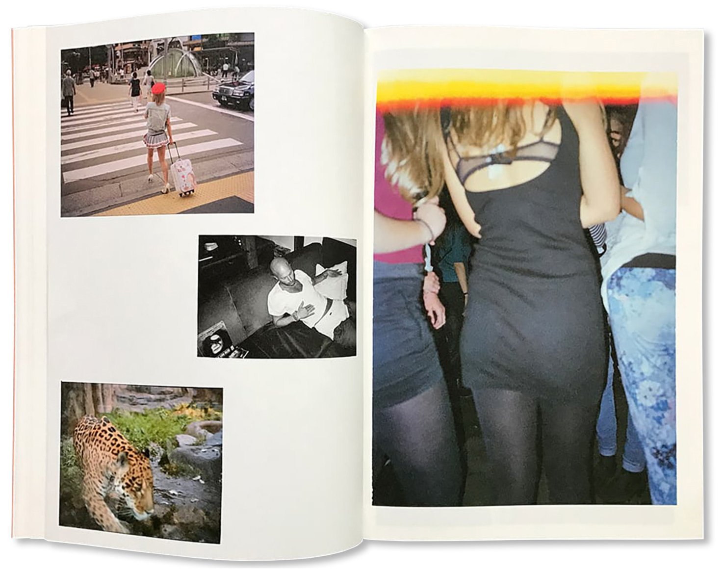 YOU'RE LIVING FOR NOTHING NOW (BOOK 3)<br>André Príncipe