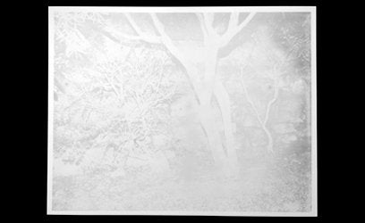 RIEN by André Cepeda <br>SPECIAL EDITION w/ 1 Print