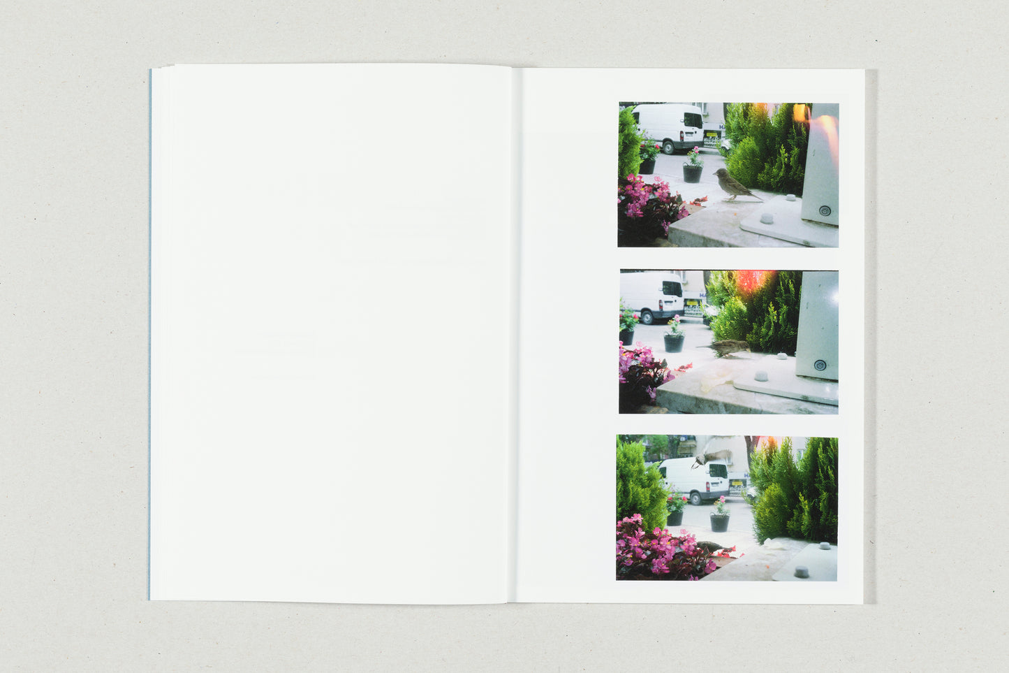 You're Living for Nothing Now (Book 1) by André Príncipe