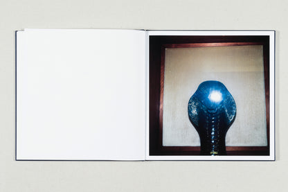 WHITE NOISE<br>António Júlio Duarte