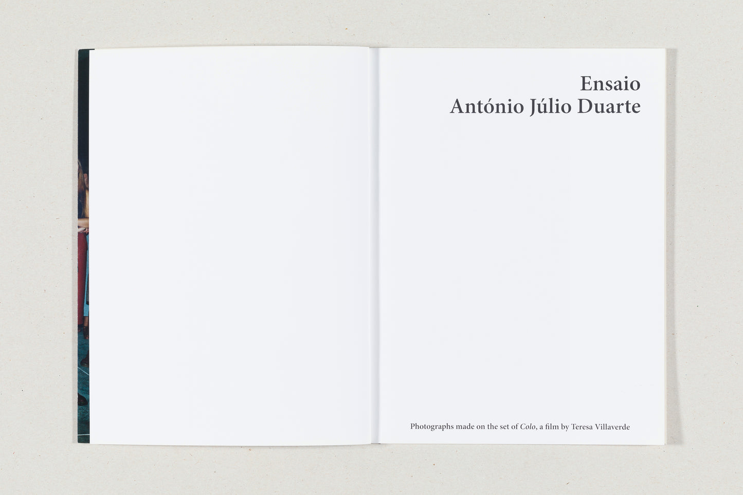 Ensaio by António Júlio Duarte
