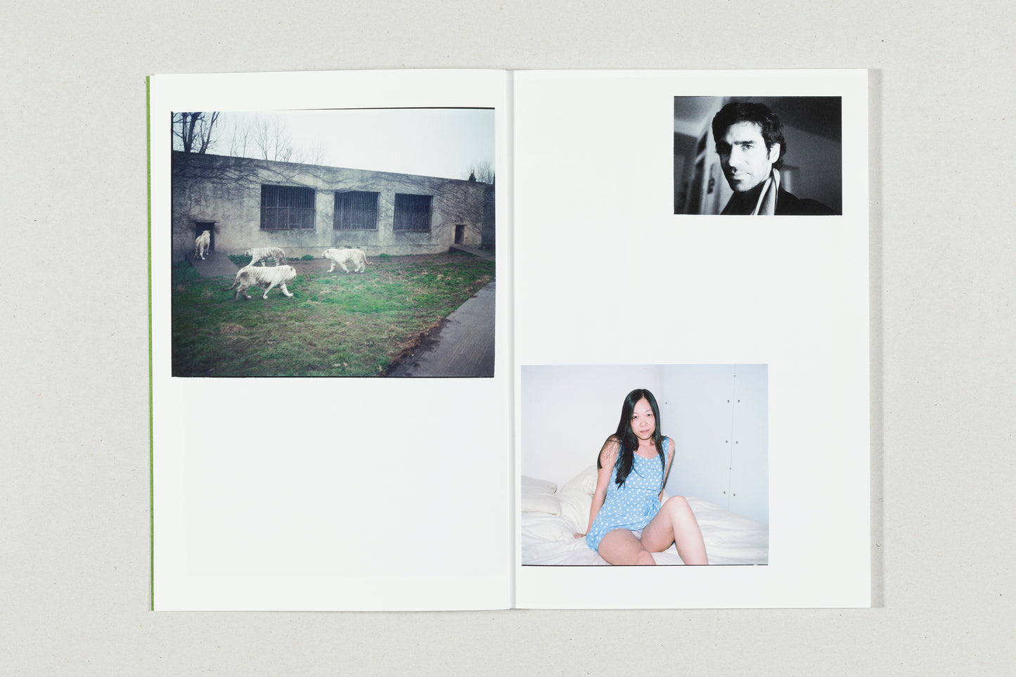 You're Living for Nothing Now (Book 2) by André Príncipe