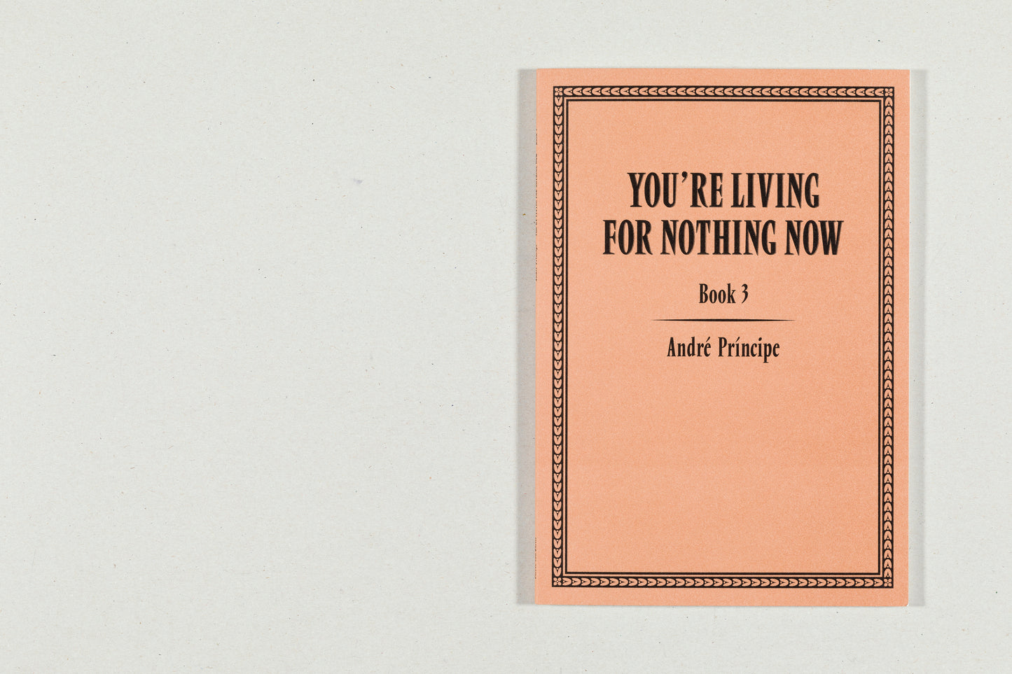You're Living for Nothing Now (Book 1,2,3) by André Príncipe