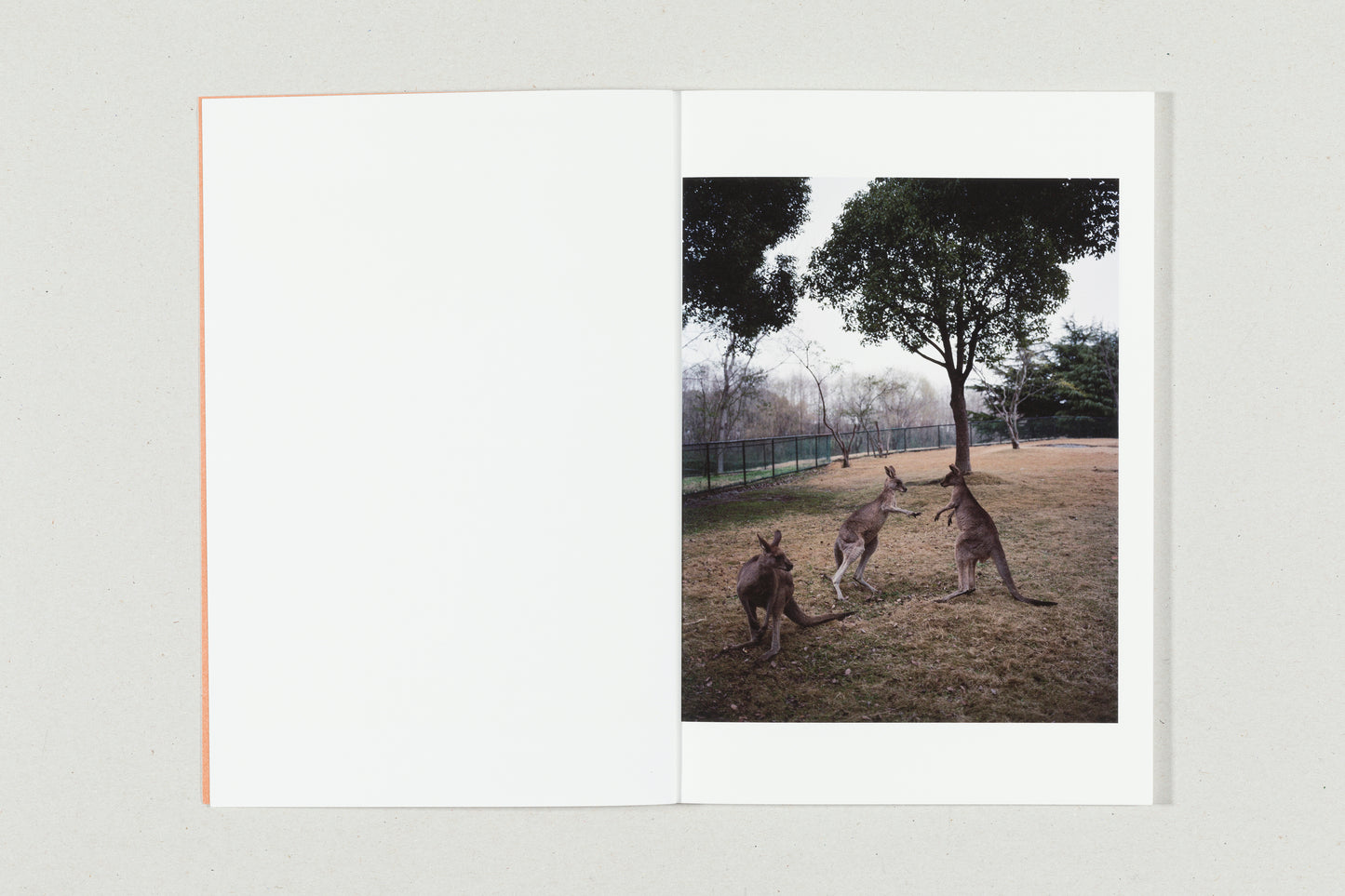You're Living for Nothing Now (Book 3) by André Príncipe