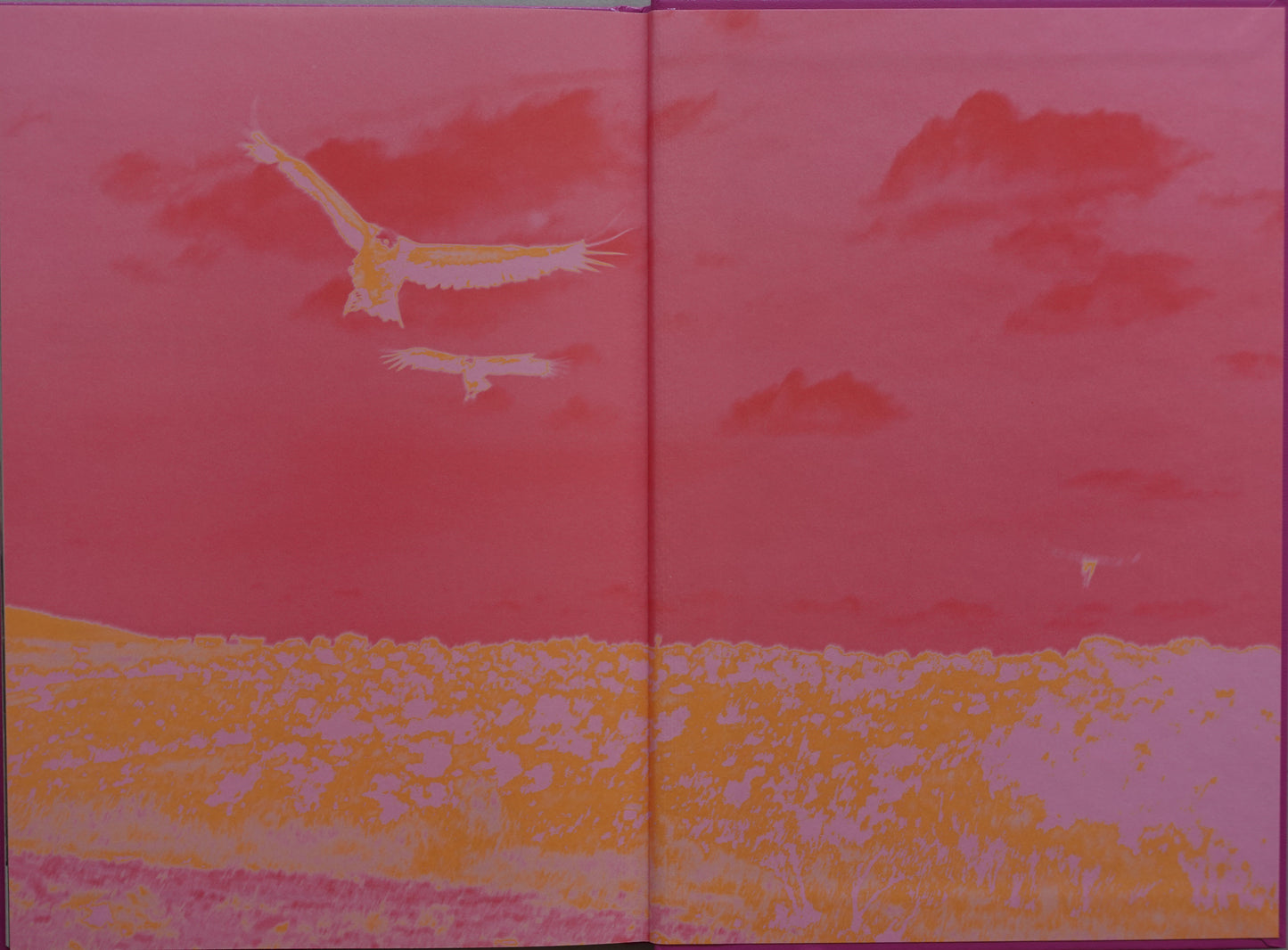 Anima - Encounters with Wild Animals in Portugal by André Príncipe