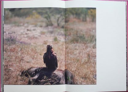 Anima - Encounters with Wild Animals in Portugal by André Príncipe