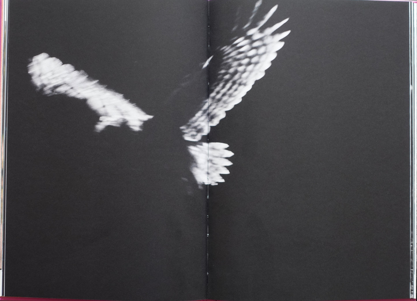 Anima - Encounters with Wild Animals in Portugal by André Príncipe