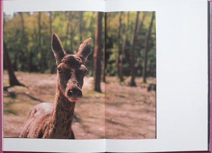 Anima - Encounters with Wild Animals in Portugal by André Príncipe