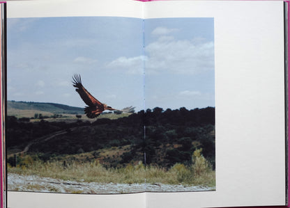 Anima - Encounters with Wild Animals in Portugal by André Príncipe