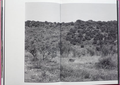 Anima - Encounters with Wild Animals in Portugal by André Príncipe