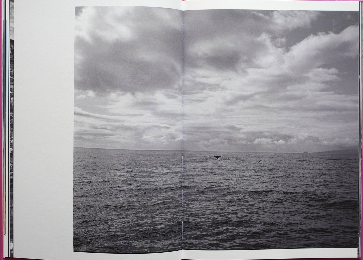 Anima - Encounters with Wild Animals in Portugal by André Príncipe