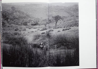 Anima - Encounters with Wild Animals in Portugal by André Príncipe