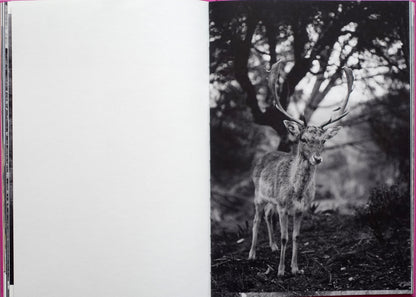 Anima - Encounters with Wild Animals in Portugal by André Príncipe