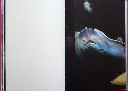 Anima - Encounters with Wild Animals in Portugal by André Príncipe