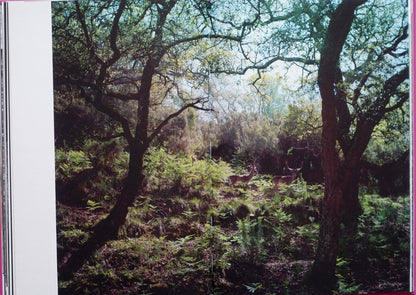 Anima - Encounters with Wild Animals in Portugal by André Príncipe