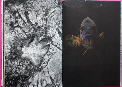 Anima - Encounters with Wild Animals in Portugal by André Príncipe