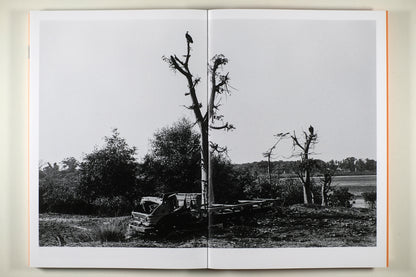 Guiné-Bissau 1990 by António Júlio Duarte