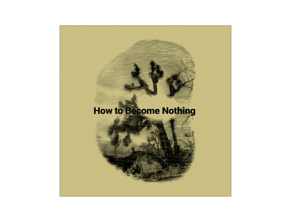 How to Become Nothing by The Legendary Tigerman and  Rita Lino (12'' LP + Book)