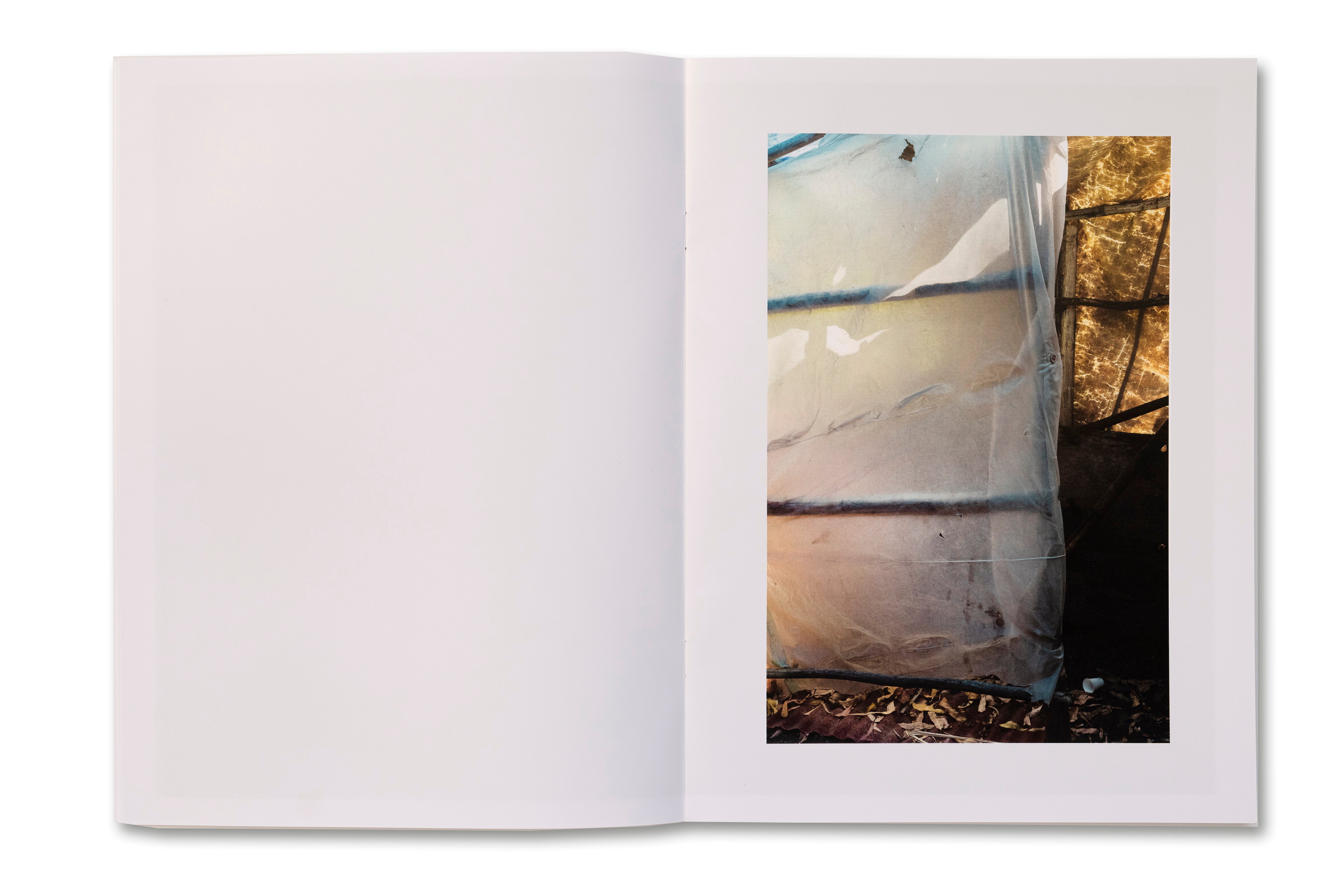 Ocean Rain by José Pedro Cortes