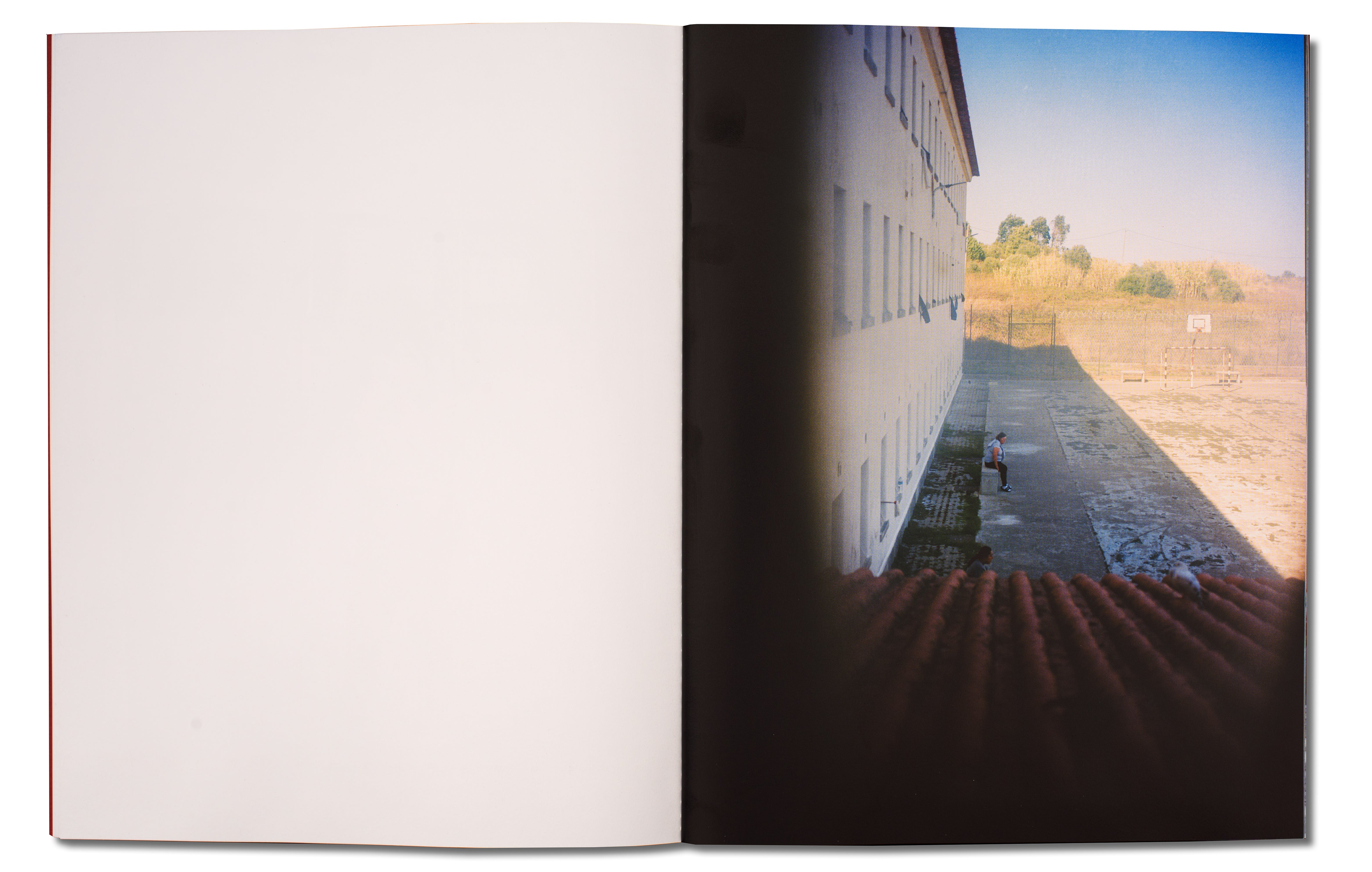 MANA <br> André Príncipe