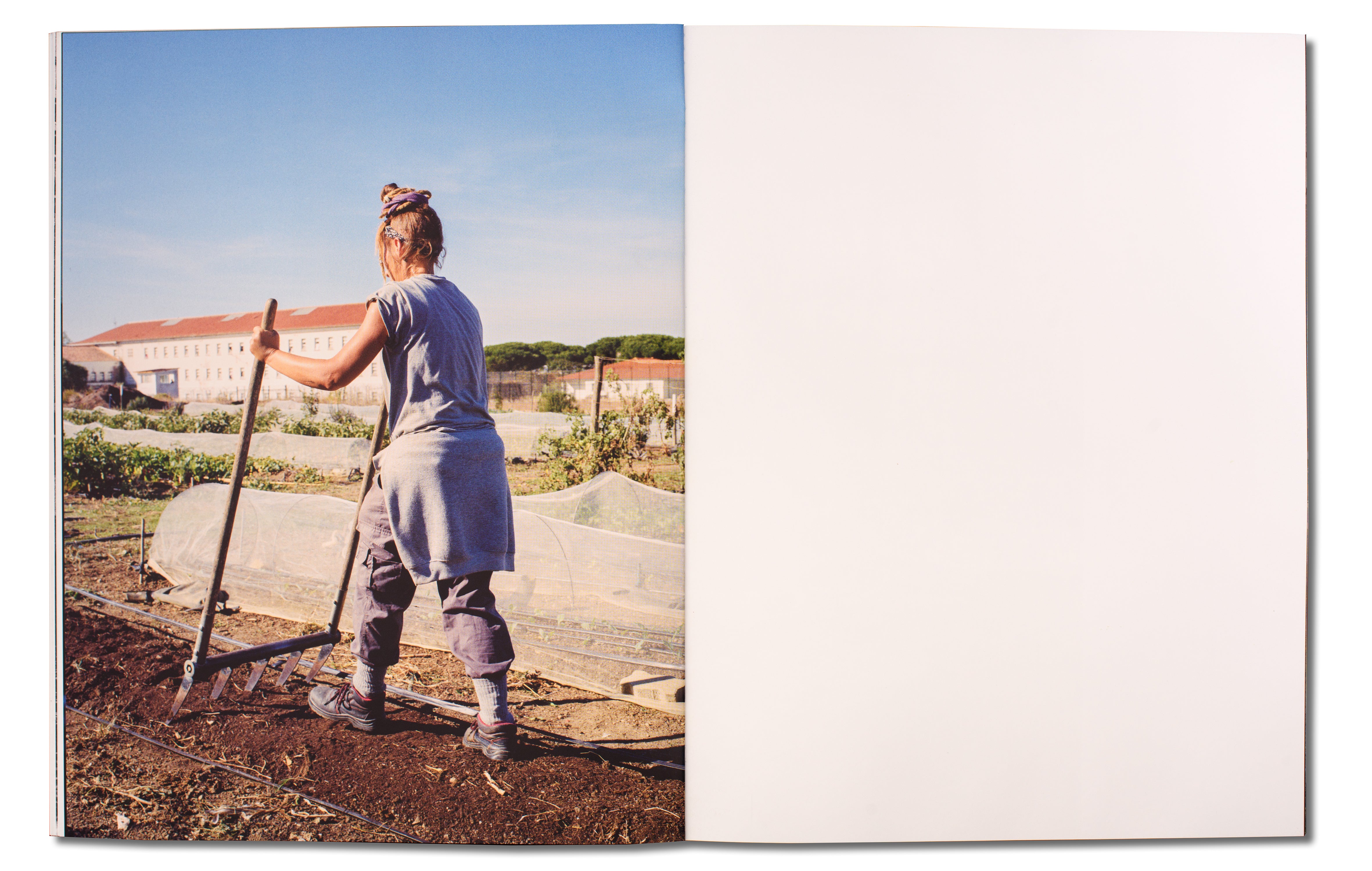 MANA <br> André Príncipe