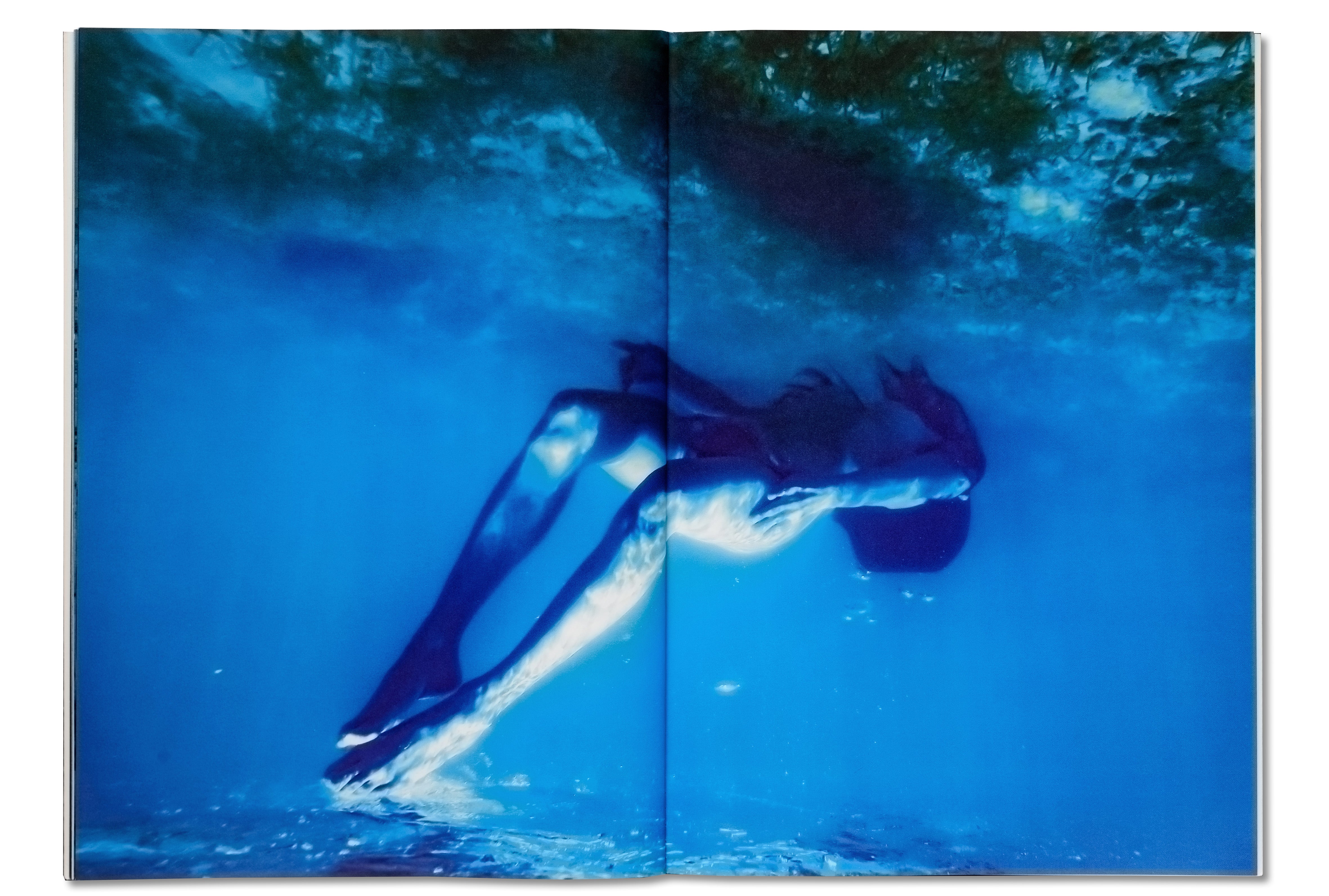 DRAGON BLUE<br>Keiko Nomura<br>