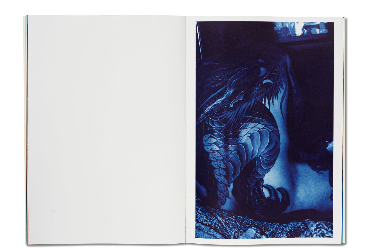 Dragon Blue by Keiko Nomura