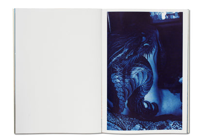 Dragon Blue by Keiko Nomura