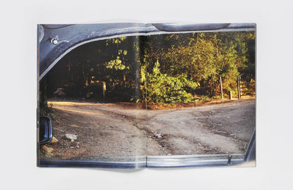 CAREFUL DRIVING AVOIDS ACCIDENTS<br>Augusto Alves da Silva