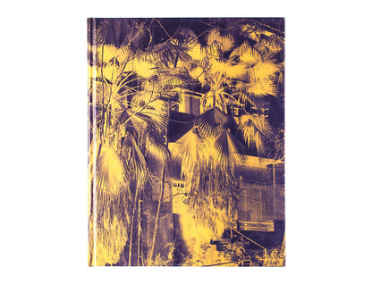 Things Here and Things Still to Come by José Pedro Cortes