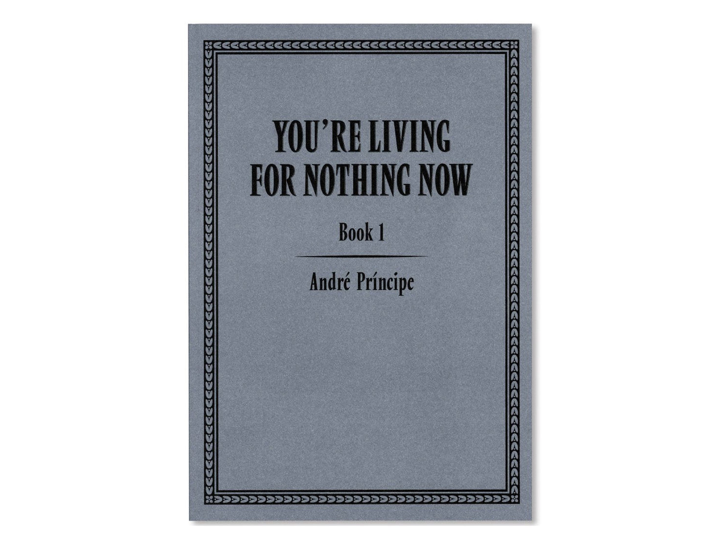 You're Living for Nothing Now (Book 1) by André Príncipe