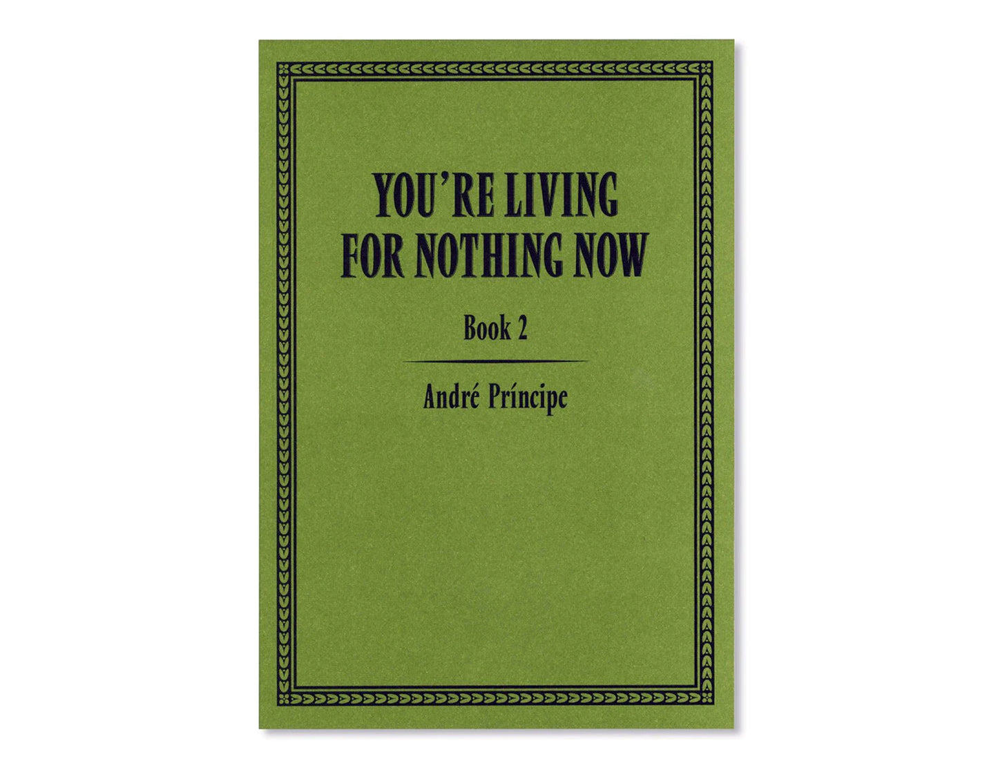You're Living for Nothing Now (Book 2) by André Príncipe