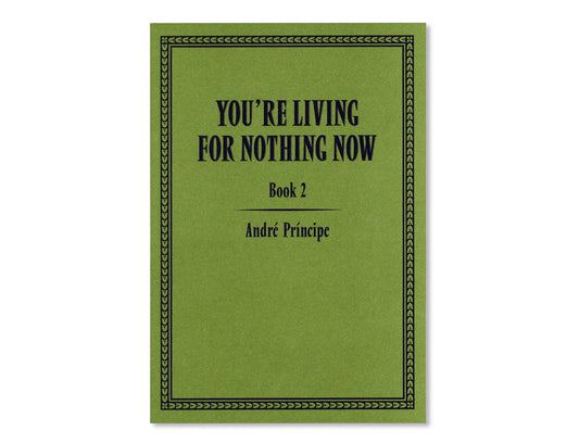 You're Living for Nothing Now (Book 2) by André Príncipe